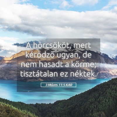 Picture 05 - 3 Mózes 11:5 KAR - A hörcsököt, mert kérõdzõ ugyan, de nem - Bible Verse Picture