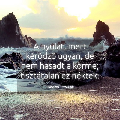 Picture 05 - 3 Mózes 11:6 KAR - A nyulat, mert kérõdzõ ugyan, de nem hasadt a - Bible Verse Picture