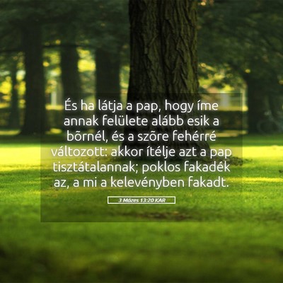 Picture 05 - 3 Mózes 13:20 KAR - És ha látja a pap, hogy íme annak felülete - Bible Verse Picture