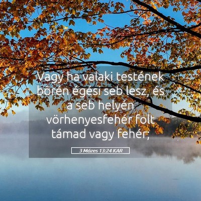 Picture 05 - 3 Mózes 13:24 KAR - Vagy ha valaki testének bõrén égési seb - Bible Verse Picture