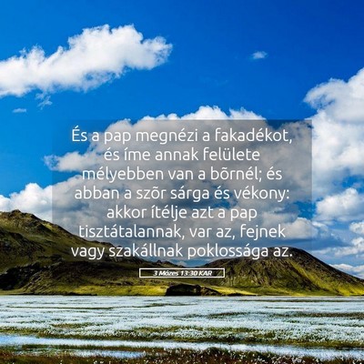 Picture 05 - 3 Mózes 13:30 KAR - És a pap megnézi a fakadékot, és íme annak - Bible Verse Picture