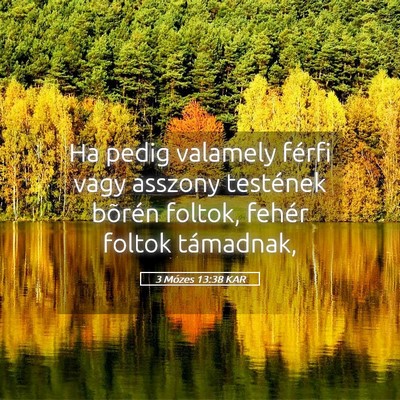 Picture 05 - 3 Mózes 13:38 KAR - Ha pedig valamely férfi vagy asszony testének - Bible Verse Picture