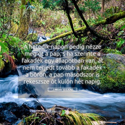 Picture 05 - 3 Mózes 13:5 KAR - A hetedik napon pedig nézze meg õt a pap, s ha - Bible Verse Picture