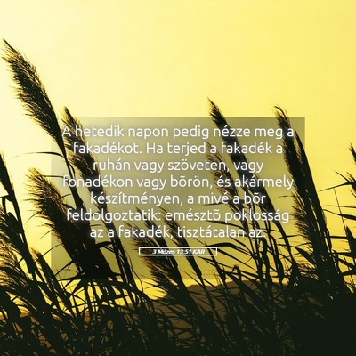 Picture 05 - 3 Mózes 13:51 KAR - A hetedik napon pedig nézze meg a fakadékot. Ha - Bible Verse Picture
