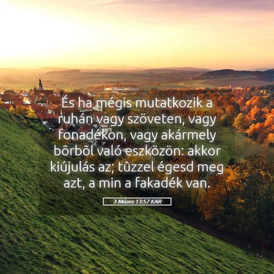 Picture 05 - 3 Mózes 13:57 KAR - És ha mégis mutatkozik a ruhán vagy szöveten, - Bible Verse Picture