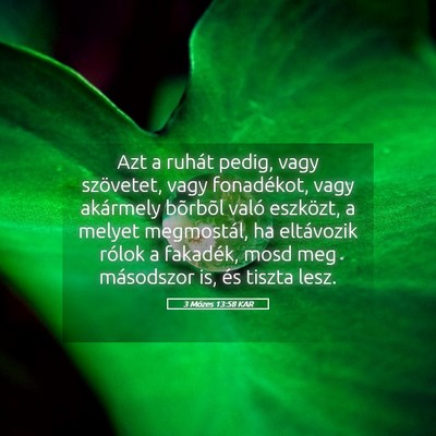 Picture 05 - 3 Mózes 13:58 KAR - Azt a ruhát pedig, vagy szövetet, vagy - Bible Verse Picture