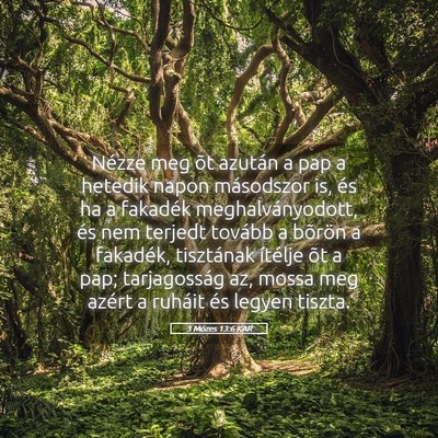 Picture 05 - 3 Mózes 13:6 KAR - Nézze meg õt azután a pap a hetedik napon - Bible Verse Picture