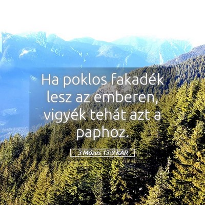 Picture 05 - 3 Mózes 13:9 KAR - Ha poklos fakadék lesz az emberen, vigyék - Bible Verse Picture