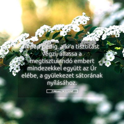 Picture 05 - 3 Mózes 14:11 KAR - A pap pedig, a ki a tisztítást végzi, állassa - Bible Verse Picture
