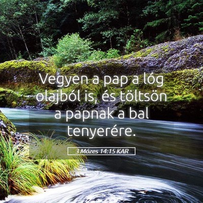 Picture 05 - 3 Mózes 14:15 KAR - Vegyen a pap a lóg olajból is, és töltsön a - Bible Verse Picture