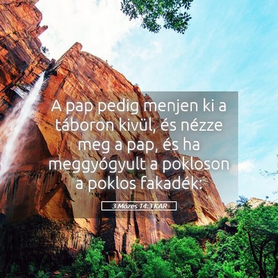 Picture 05 - 3 Mózes 14:3 KAR - A pap pedig menjen ki a táboron kivül, és - Bible Verse Picture