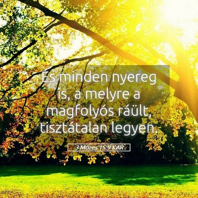 Picture 05 - 3 Mózes 15:9 KAR - És minden nyereg is, a melyre a magfolyós - Bible Verse Picture