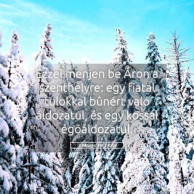 Picture 05 - 3 Mózes 16:3 KAR - Ezzel menjen be Áron a szenthelyre: egy fiatal - Bible Verse Picture