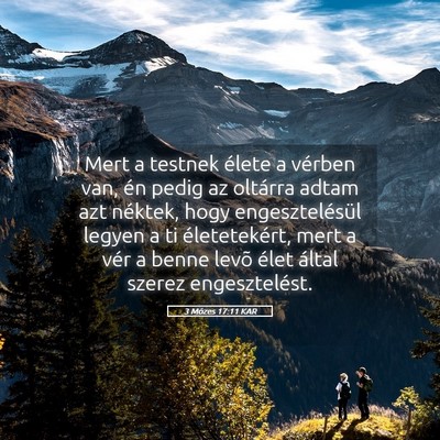 Picture 05 - 3 Mózes 17:11 KAR - Mert a testnek élete a vérben van, én pedig az - Bible Verse Picture