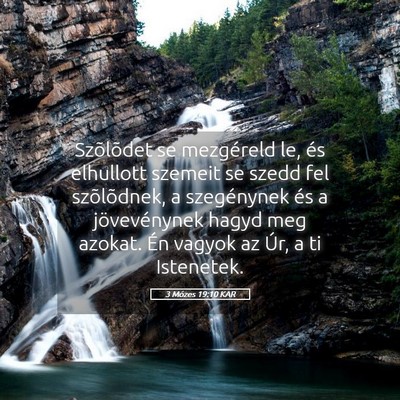 Picture 05 - 3 Mózes 19:10 KAR - Szõlõdet se mezgéreld le, és elhullott - Bible Verse Picture