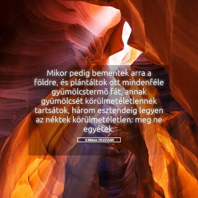Picture 05 - 3 Mózes 19:23 KAR - Mikor pedig bementek arra a földre, és - Bible Verse Picture