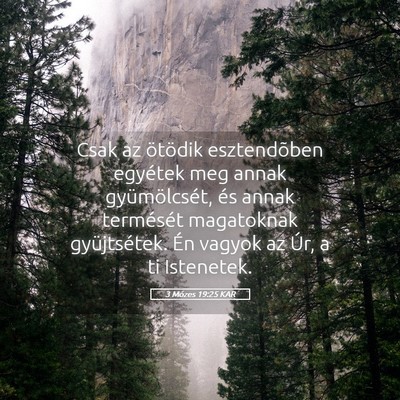 Picture 05 - 3 Mózes 19:25 KAR - Csak az ötödik esztendõben egyétek meg annak - Bible Verse Picture