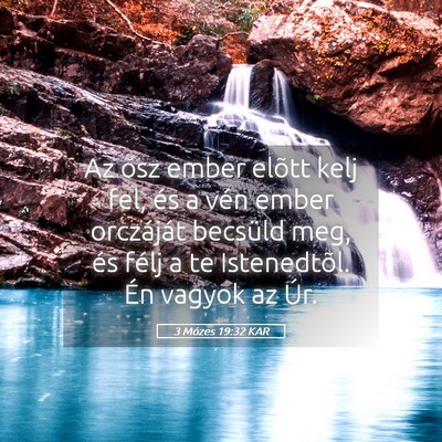 Picture 05 - 3 Mózes 19:32 KAR - Az õsz ember elõtt kelj fel, és a vén ember - Bible Verse Picture