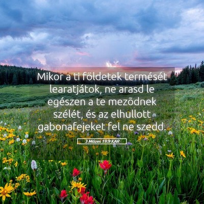 Picture 05 - 3 Mózes 19:9 KAR - Mikor a ti földetek termését learatjátok, ne - Bible Verse Picture