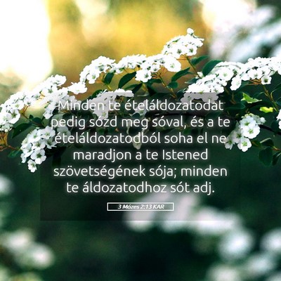 Picture 05 - 3 Mózes 2:13 KAR - Minden te ételáldozatodat pedig sózd meg - Bible Verse Picture