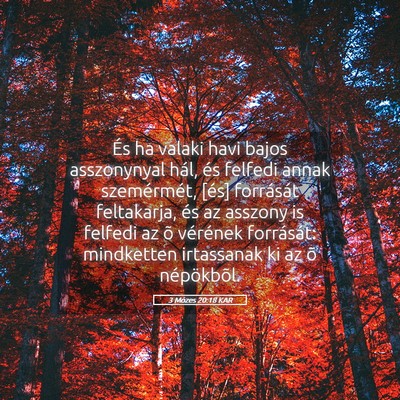 Picture 05 - 3 Mózes 20:18 KAR - És ha valaki havi bajos asszonynyal hál, és - Bible Verse Picture