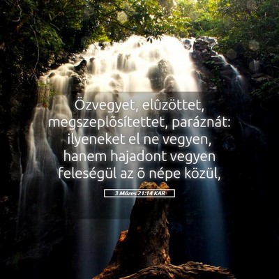 Picture 05 - 3 Mózes 21:14 KAR - Özvegyet, elûzöttet, megszeplõsítettet, - Bible Verse Picture