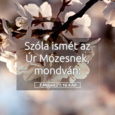Picture 05 - 3 Mózes 21:16 KAR - Szóla ismét az Úr Mózesnek, - Bible Verse Picture