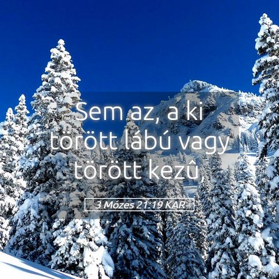Picture 05 - 3 Mózes 21:19 KAR - Sem az, a ki törött lábú vagy törött - Bible Verse Picture