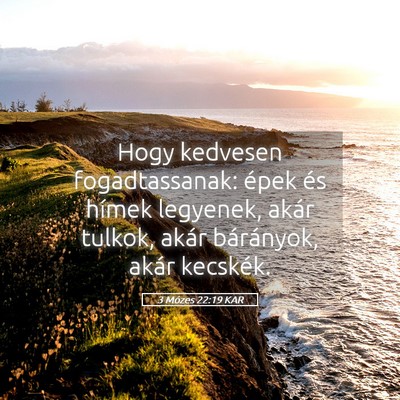 Picture 05 - 3 Mózes 22:19 KAR - Hogy kedvesen fogadtassanak: épek és hímek - Bible Verse Picture