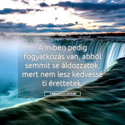 Picture 05 - 3 Mózes 22:20 KAR - A miben pedig fogyatkozás van, abból semmit se - Bible Verse Picture