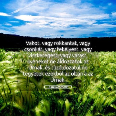 Picture 05 - 3 Mózes 22:22 KAR - Vakot, vagy rokkantat, vagy csonkát, vagy - Bible Verse Picture