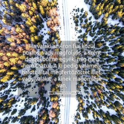 Picture 05 - 3 Mózes 22:4 KAR - Ha valaki az Áron fiai közül poklos, vagy - Bible Verse Picture