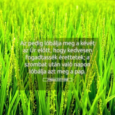 Picture 05 - 3 Mózes 23:11 KAR - Az pedig lóbálja meg a kévét az Úr elõtt, - Bible Verse Picture