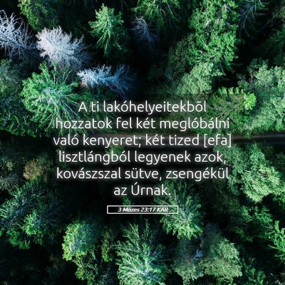 Picture 05 - 3 Mózes 23:17 KAR - A ti lakóhelyeitekbõl hozzatok fel két - Bible Verse Picture