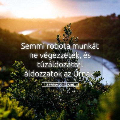 Picture 05 - 3 Mózes 23:25 KAR - Semmi robota munkát ne végezzetek, és - Bible Verse Picture