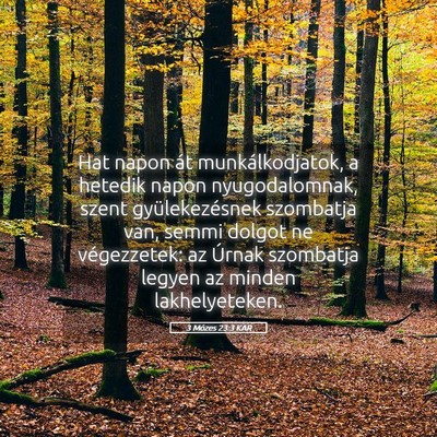 Picture 05 - 3 Mózes 23:3 KAR - Hat napon át munkálkodjatok, a hetedik napon - Bible Verse Picture
