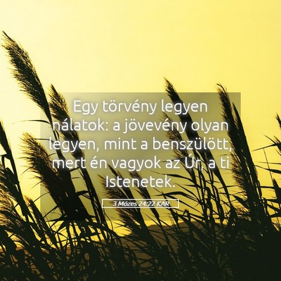 Picture 05 - 3 Mózes 24:22 KAR - Egy törvény legyen nálatok: a jövevény olyan - Bible Verse Picture