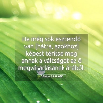 Picture 05 - 3 Mózes 25:51 KAR - Ha még sok esztendõ van [hátra, azokhoz] - Bible Verse Picture