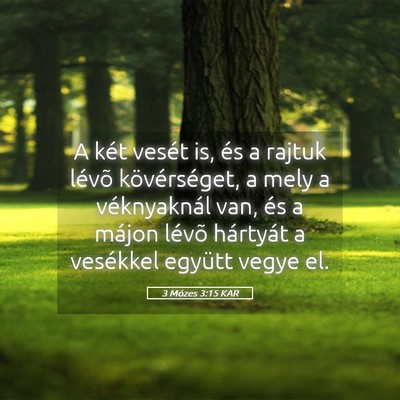 Picture 05 - 3 Mózes 3:15 KAR - A két vesét is, és a rajtuk lévõ - Bible Verse Picture