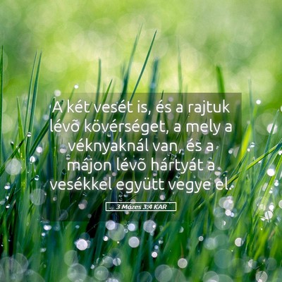 Picture 05 - 3 Mózes 3:4 KAR - A két vesét is, és a rajtuk lévõ - Bible Verse Picture
