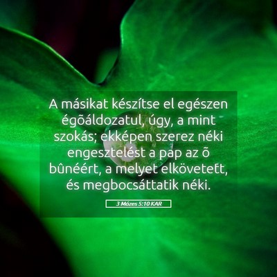 Picture 05 - 3 Mózes 5:10 KAR - A másikat készítse el egészen - Bible Verse Picture