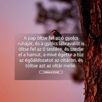 Picture 05 - 3 Mózes 6:10 KAR - A pap öltse fel az õ gyolcs ruháját, és a - Bible Verse Picture