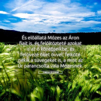 Picture 05 - 3 Mózes 8:13 KAR - És elõállatá Mózes az Áron fiait is, és - Bible Verse Picture
