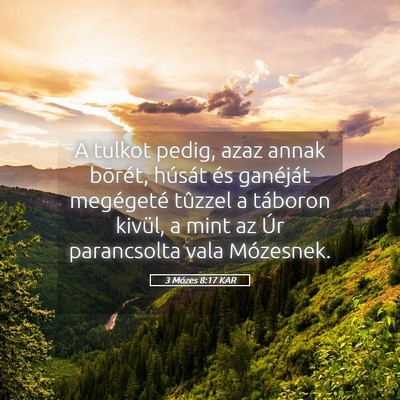 Picture 05 - 3 Mózes 8:17 KAR - A tulkot pedig, azaz annak bõrét, húsát és - Bible Verse Picture