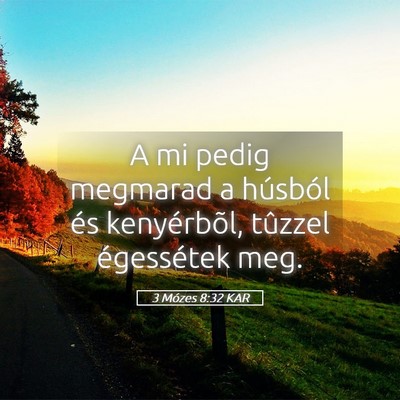 Picture 05 - 3 Mózes 8:32 KAR - A mi pedig megmarad a húsból és kenyérbõl, - Bible Verse Picture
