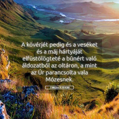 Picture 05 - 3 Mózes 9:10 KAR - A kövérjét pedig és a veséket és a máj - Bible Verse Picture
