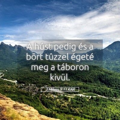 Picture 05 - 3 Mózes 9:11 KAR - A húst pedig és a bõrt tûzzel égeté meg a - Bible Verse Picture