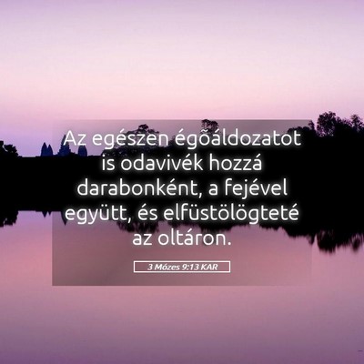 Picture 05 - 3 Mózes 9:13 KAR - Az egészen égõáldozatot is odavivék hozzá - Bible Verse Picture