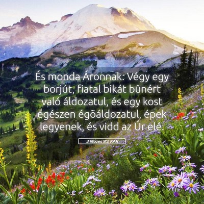 Picture 05 - 3 Mózes 9:2 KAR - És monda Áronnak: Végy egy borjút, fiatal - Bible Verse Picture
