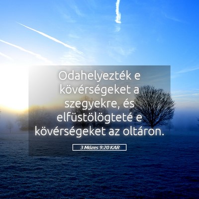 Picture 05 - 3 Mózes 9:20 KAR - Odahelyezték e kövérségeket a szegyekre, és - Bible Verse Picture